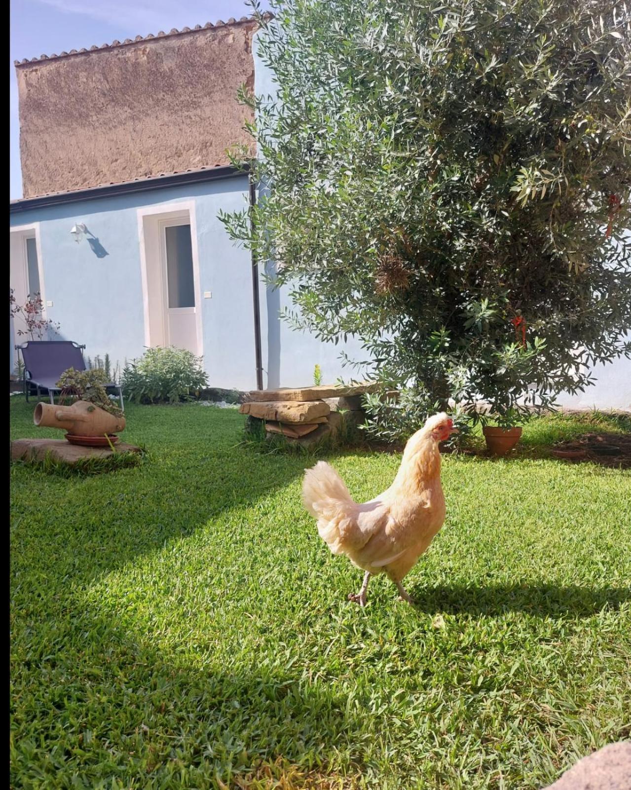 B&B Il Borgo Delle Emozioni Dolianova Exteriér fotografie